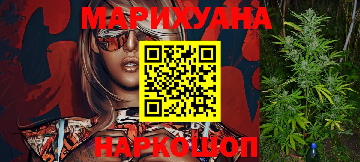 Конопля семена  Вход с VPN  Бошки марихуана THC 21%  Бошки Шишки планчик  Реутов  Каннабис гибрид 